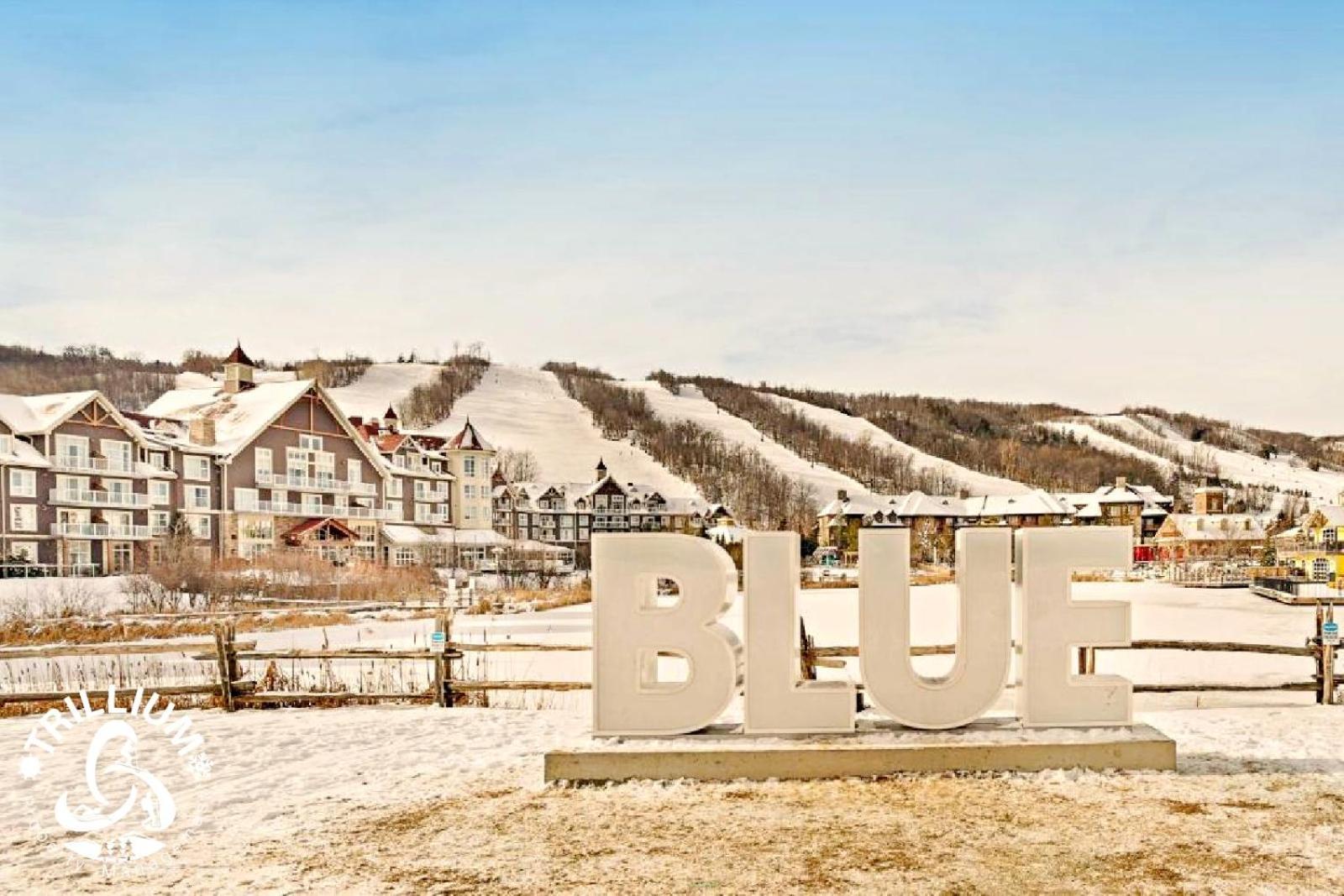 Blue Mountain, Collingwood - Loft Condo, Sleeps 4 ブルー・マウンテンズ エクステリア 写真