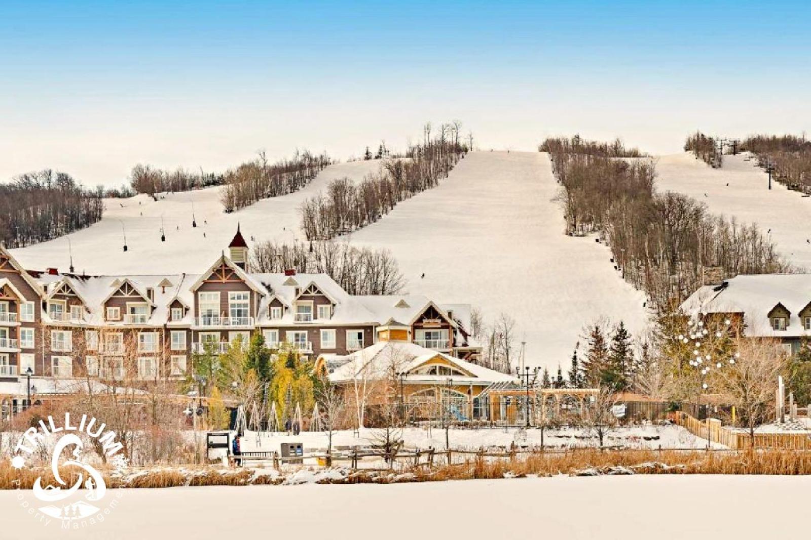 Blue Mountain, Collingwood - Loft Condo, Sleeps 4 ブルー・マウンテンズ エクステリア 写真