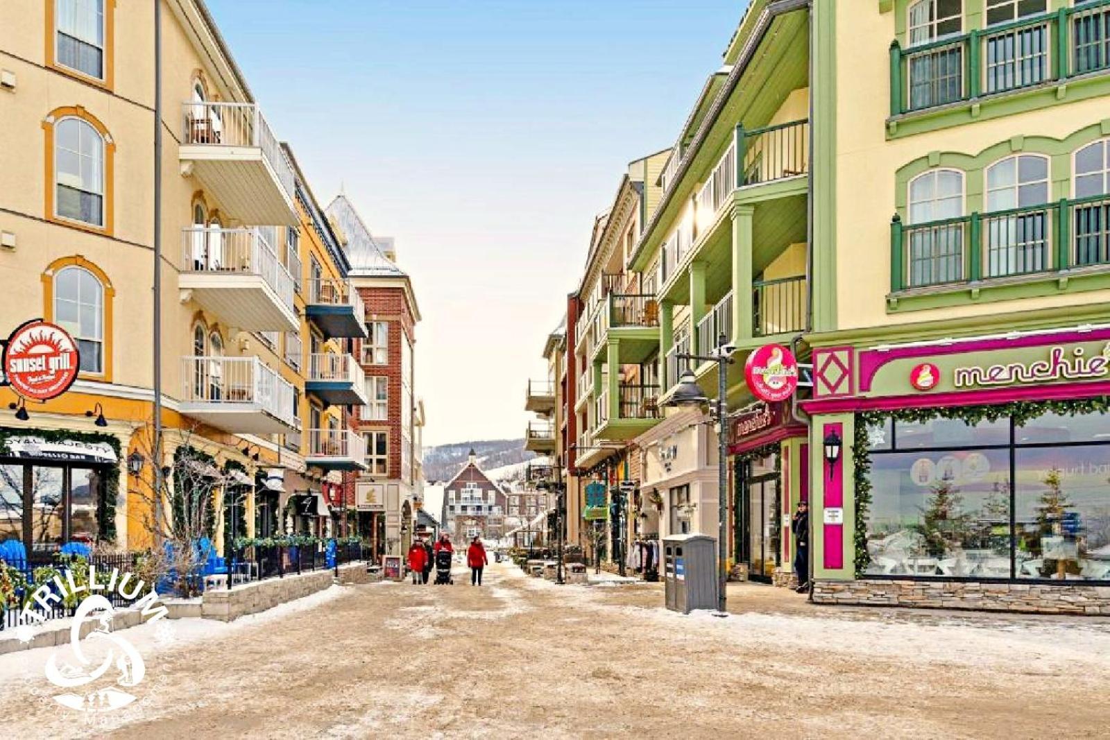 Blue Mountain, Collingwood - Loft Condo, Sleeps 4 ブルー・マウンテンズ エクステリア 写真